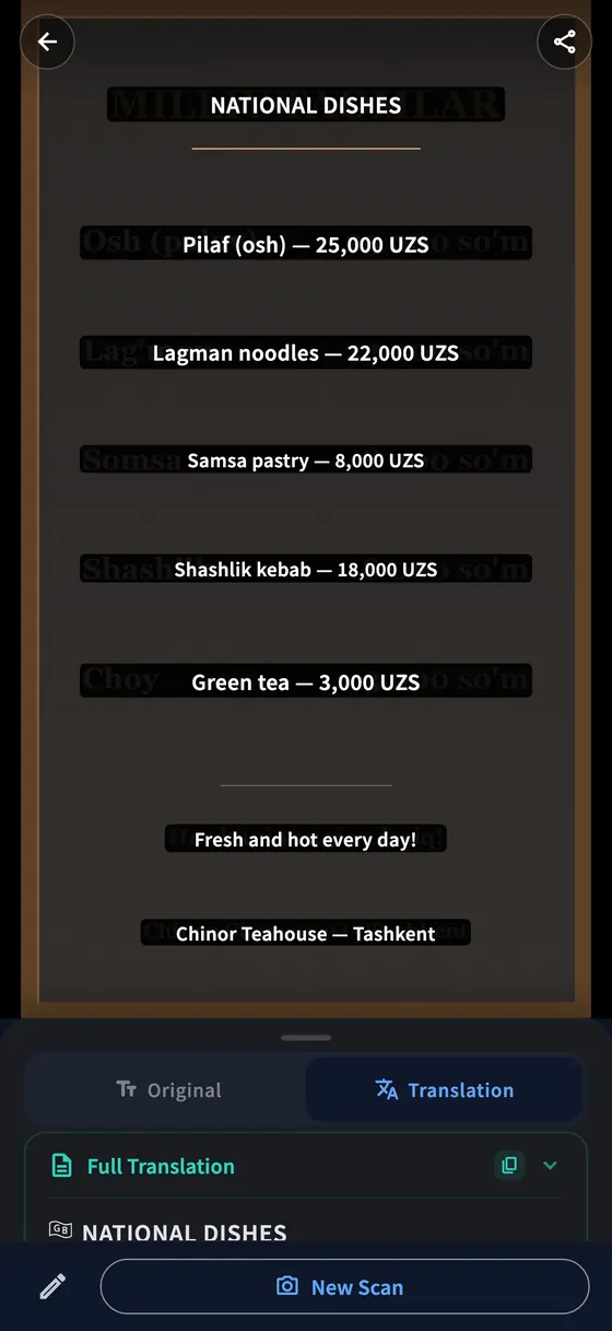 Camera translation in PLTK, with translated text over the photographed original.