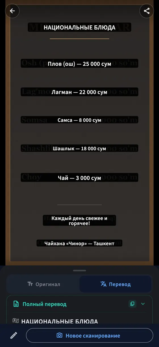Перевод камерой в PLTK: перевод поверх исходного текста.